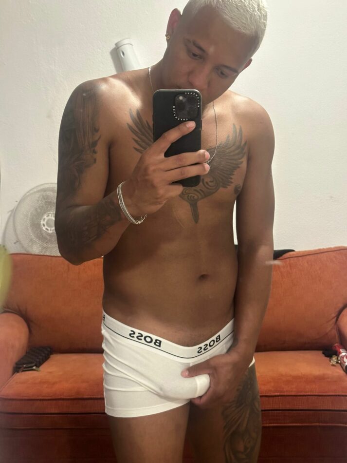 Gustavo 4