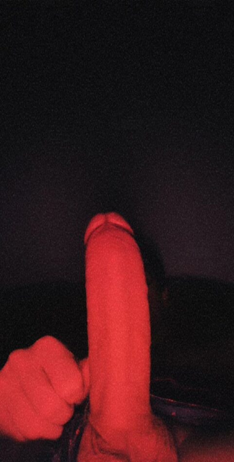 Rafael 7