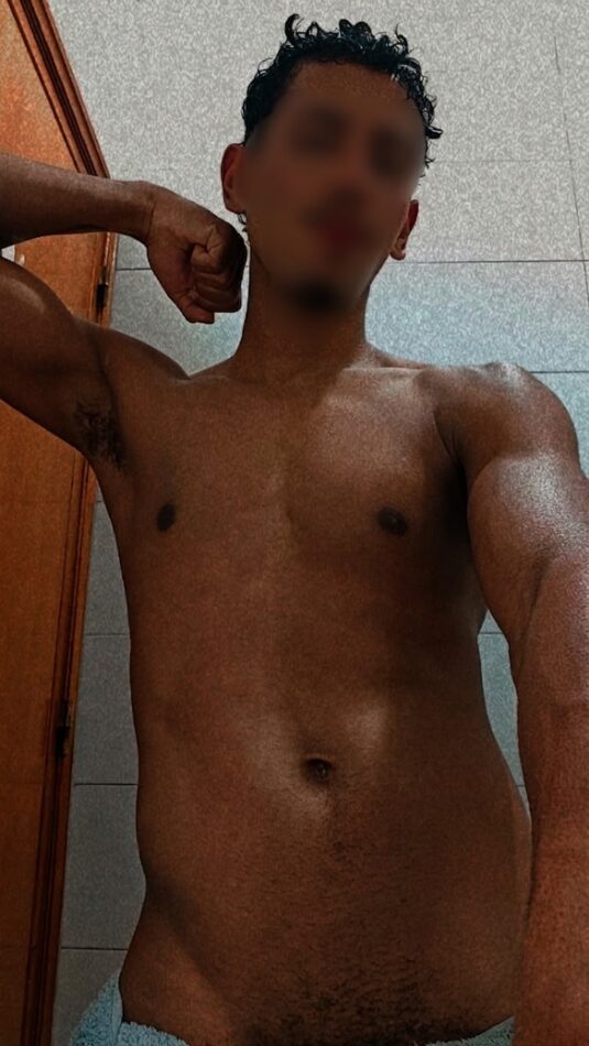 Dante Gringo 3